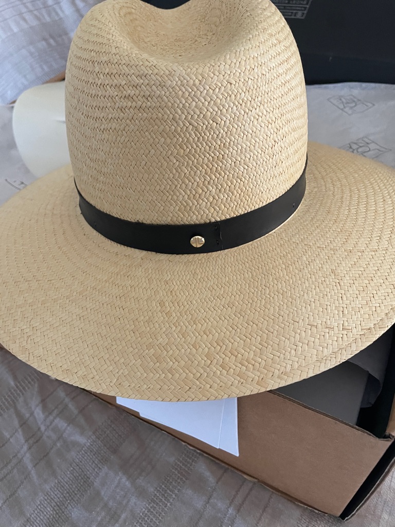 Nwt Janessa Leon Gloria Hat. Wide Brim Straw Fedora - Natural With Black Band — image 4 of 5